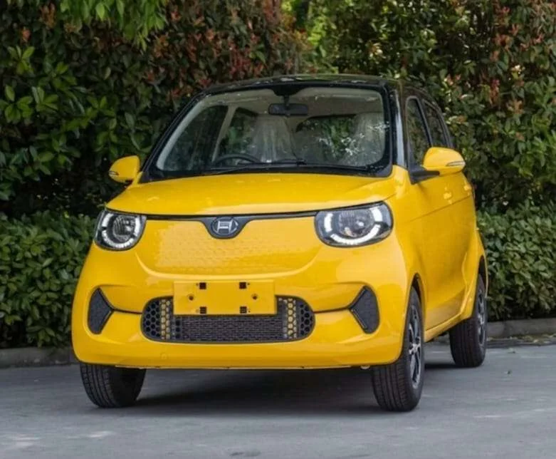 Henrey Mincar 2026 - photo 6